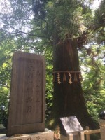 714高尾山18