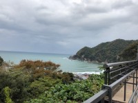 IMG_0651