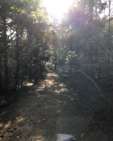 IMG_0663