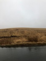 IMG_0735