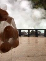 IMG_0753