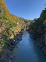 IMG_3366