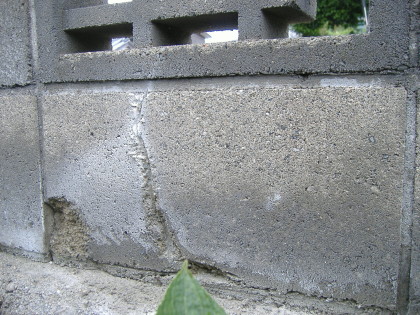 DSCF4251