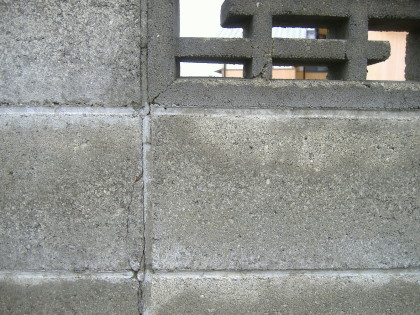 DSCF4254
