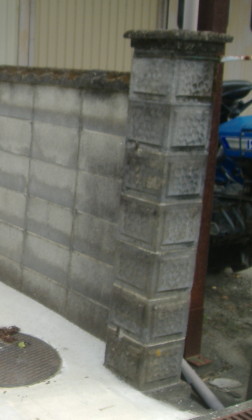 DSCF4356