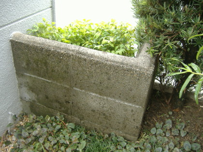DSCF4371