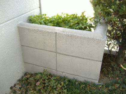 DSCF4406