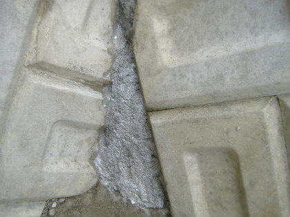 DSCF5369