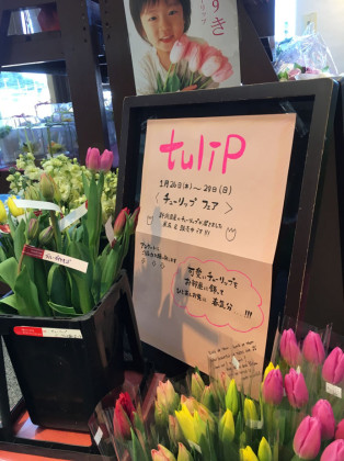 チューリップフェア