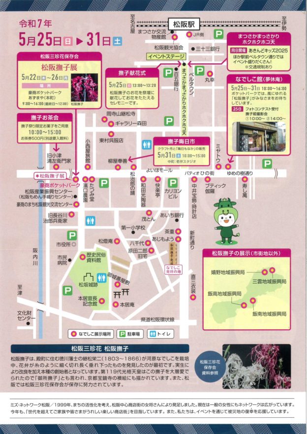 松阪撫子どんな花？祭り