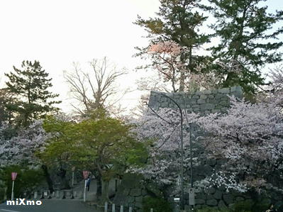 190409松阪城門と桜