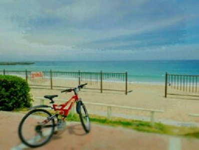 海ビーチ自転車
