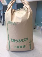 【新米】
