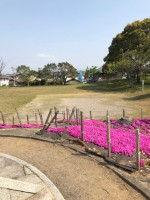 【結構規模のある公園】