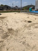 【スッキリ草取り】