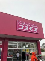 【ピンクの看板が目立つコスモス】