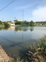 【大きな大谷池】