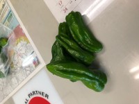 【新鮮な野菜】