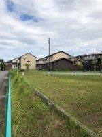 【大きめの公園】
