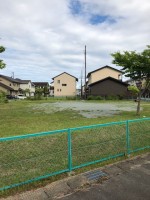 【キャッチボールくらいできますね】