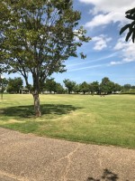 【上川遊歩道公園の広々した芝生広場】