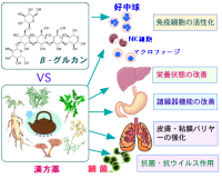 34 抵抗力を総合的に高める